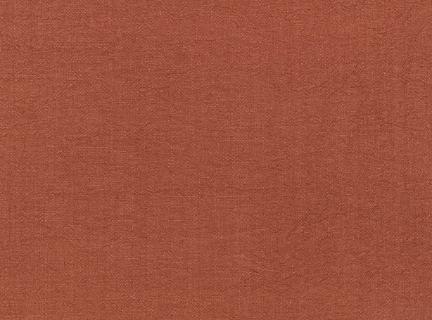 Z637-10-studland-spiced_01