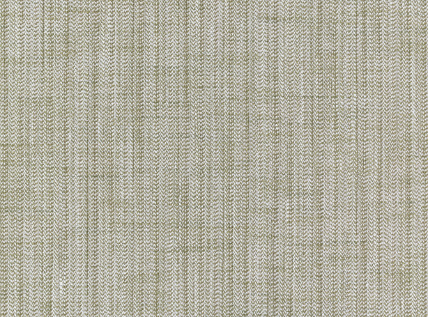 Z639-05-austell-olive_01