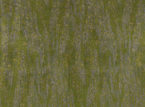 Verdant Z652/04