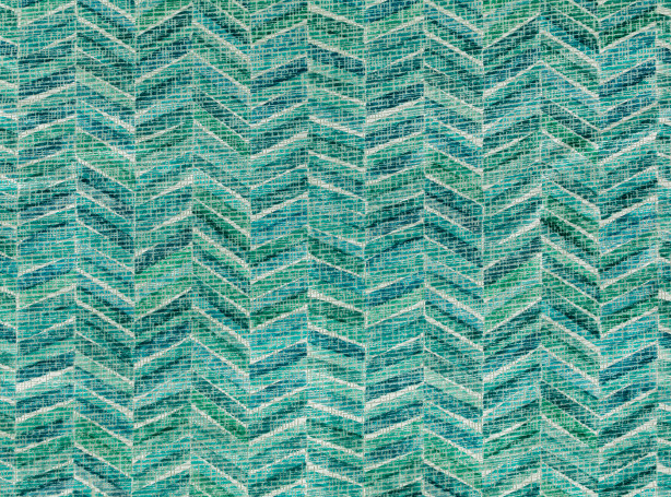 Z655-03-pagham-peacock_01